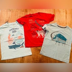 Animal sea creature zoo rhino lemur shark fish shirt
